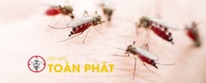 Banner diệt muỗi Toàn Phát